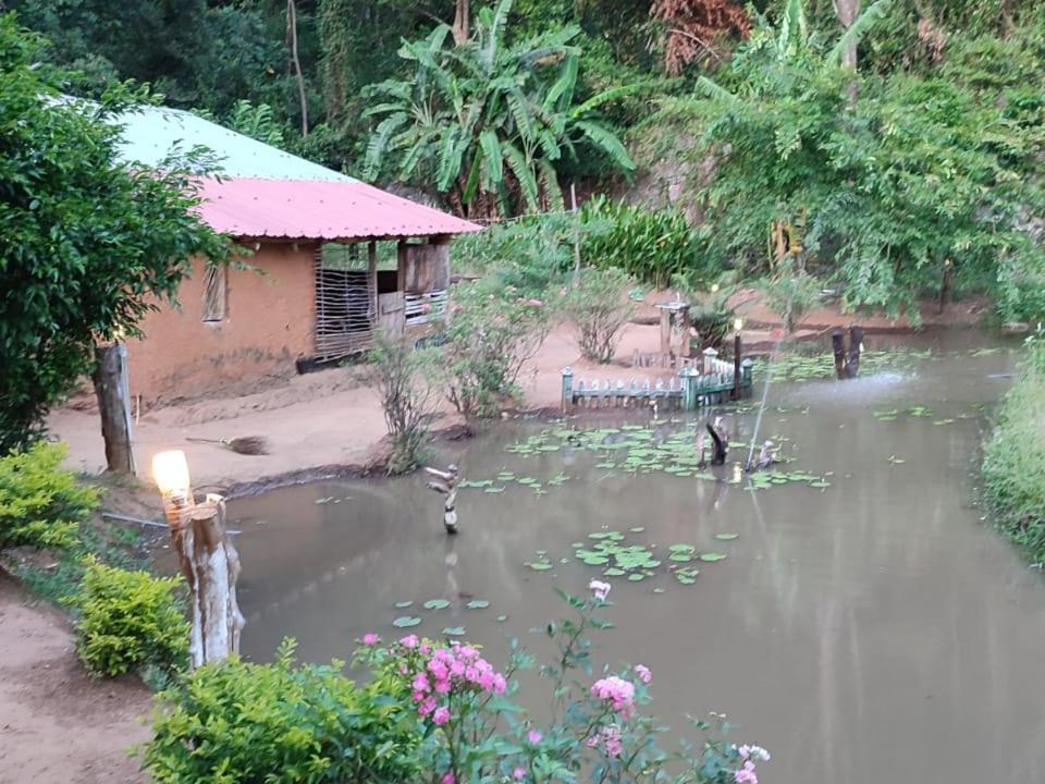 Eco Lodge Meemure & Adventure Park Mimure Eksteriør billede