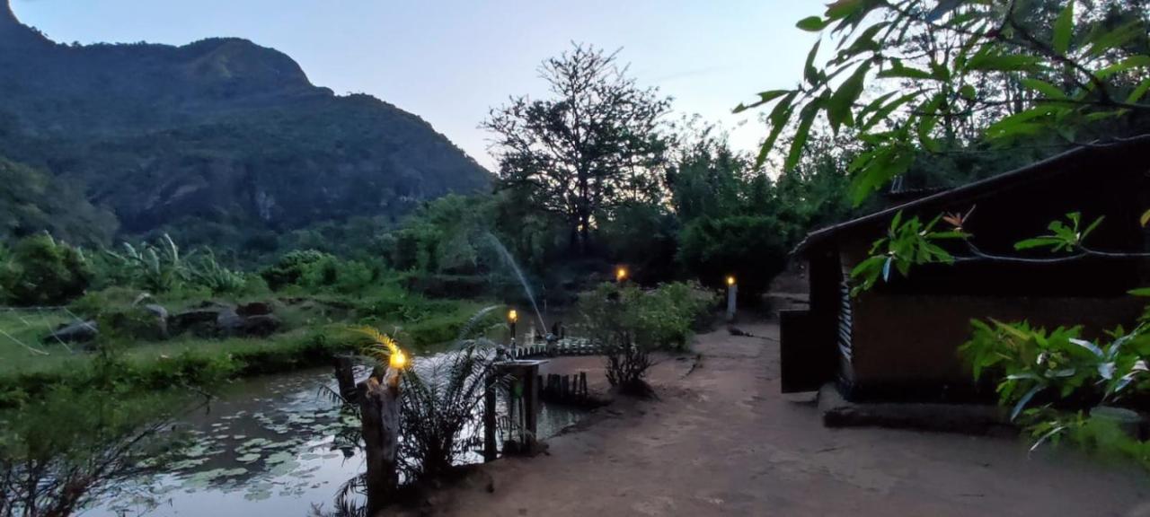 Eco Lodge Meemure & Adventure Park Mimure Eksteriør billede